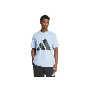 Remera Essentials Logo Grande