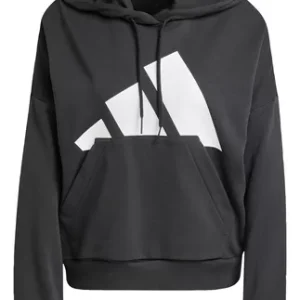 Buzo con capucha Essentials Big Logo French Terry Loose